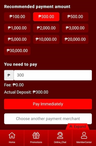 Step 2: Next, enter the amount you want to pay and click "Pay Immediately".